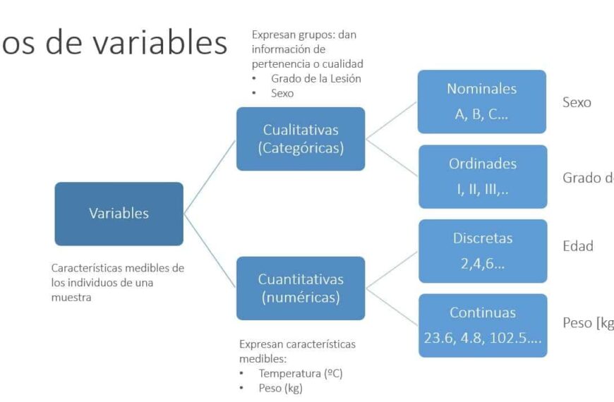 Análisis de variables clave para el estudio