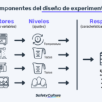 Consejos para optimizar diseño experimental y obtener resultados precisos