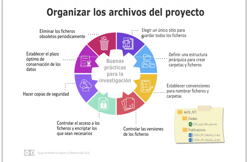 Consejos para organizar y estructurar tus datos de manera eficiente